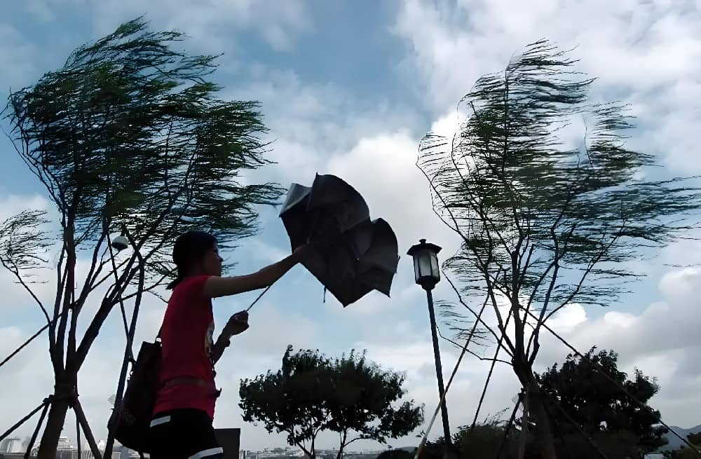 太陽能臺風預警宣傳信號桿的案例